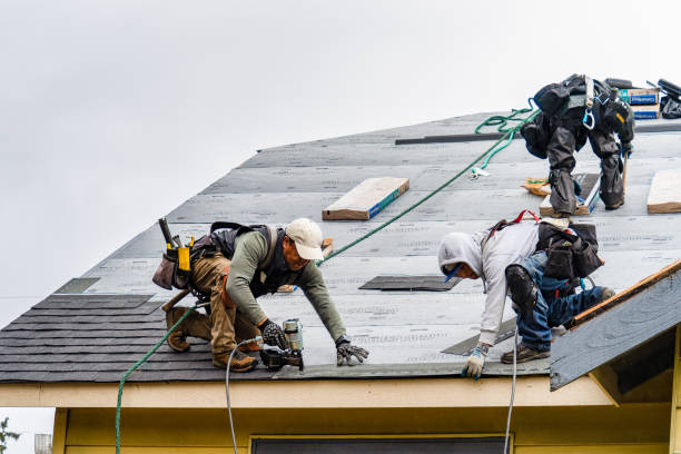 Professional Roof Inspection technician working in Irons, MI